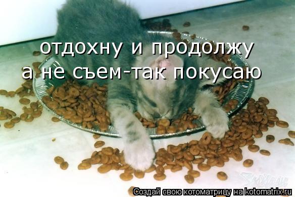 отдохну и продолжу а не съем-так покусаю... Котоматрица: отдохну и продолжу а не съем-так покусаю