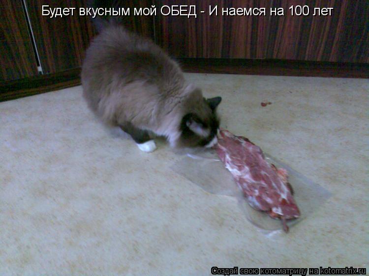 Будет вкусным мой ОБЕД - И наемся на 100 лет... Котоматрица: Будет вкусным мой ОБЕД - И наемся на 100 лет