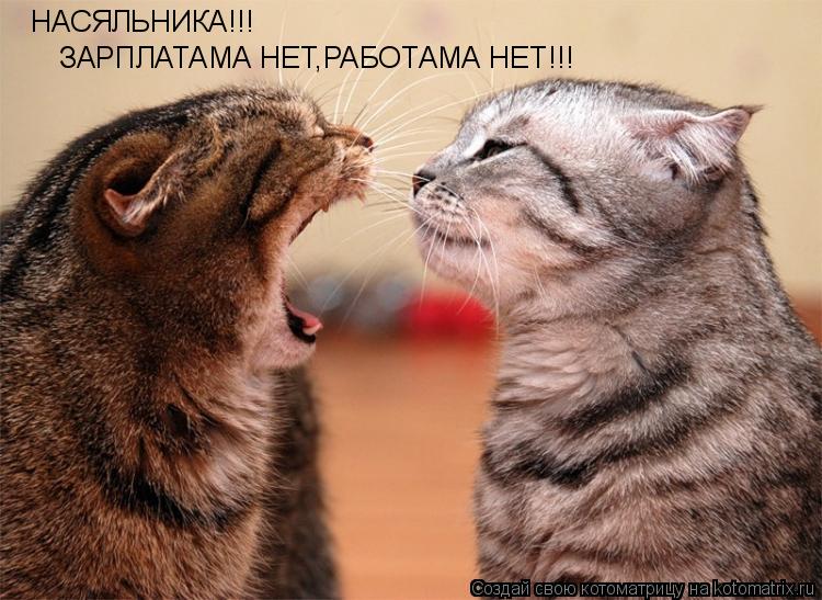 НАСЯЛЬНИКА!!! ЗАРПЛАТАМА НЕТ,РАБОТАМА НЕТ!!!... Котоматрица: НАСЯЛЬНИКА!!! ЗАРПЛАТАМА НЕТ,РАБОТАМА НЕТ!!!