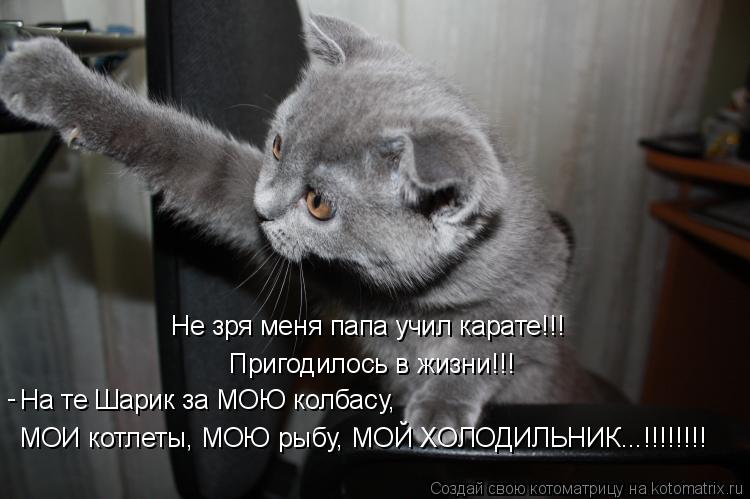 Не зря меня папа учил карате!!! Пригодилось в жизни!!! На те Шарик за МОЮ колбасу, МОИ котлеты, МОЮ р... Котоматрица: Не зря меня папа учил карате!!! Пригодилось в жизни!!! На те Шарик за МОЮ колбасу, МОИ котлеты, МОЮ рыбу, МОЙ ХОЛОДИЛЬНИК...!!!!!!!! -