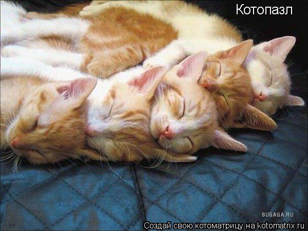Котопазл... Котоматрица: Котопазл