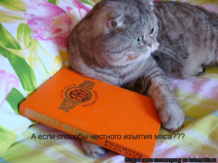 А если способы честного изъятия мяса???... Котоматрица: А если способы честного изъятия мяса???