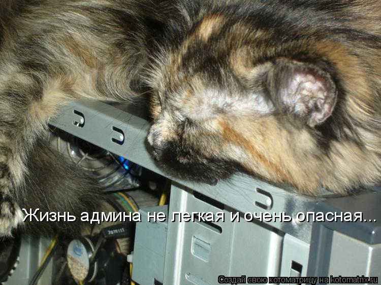 Жизнь админа не легкая и очень опасная...... Котоматрица: Жизнь админа не легкая и очень опасная...