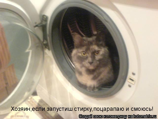Хозяин,если запустиш стирку,поцарапаю и смоюсь!... Котоматрица: Хозяин,если запустиш стирку,поцарапаю и смоюсь!