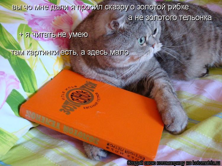 вы чо мне дали я просил сказру о золотой рибке а не золотого тельонка + я читать не умею там картин... Котоматрица: вы чо мне дали я просил сказру о золотой рибке а не золотого тельонка + я читать не умею там картинки есть, а здесь мало