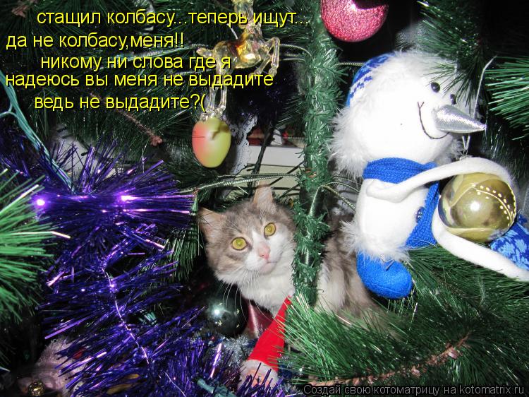 стащил колбасу...теперь ищут... да не колбасу,меня!! никому ни слова где я надеюсь вы меня не выдадит... Котоматрица: стащил колбасу...теперь ищут... да не колбасу,меня!! никому ни слова где я надеюсь вы меня не выдадите ведь не выдадите?(