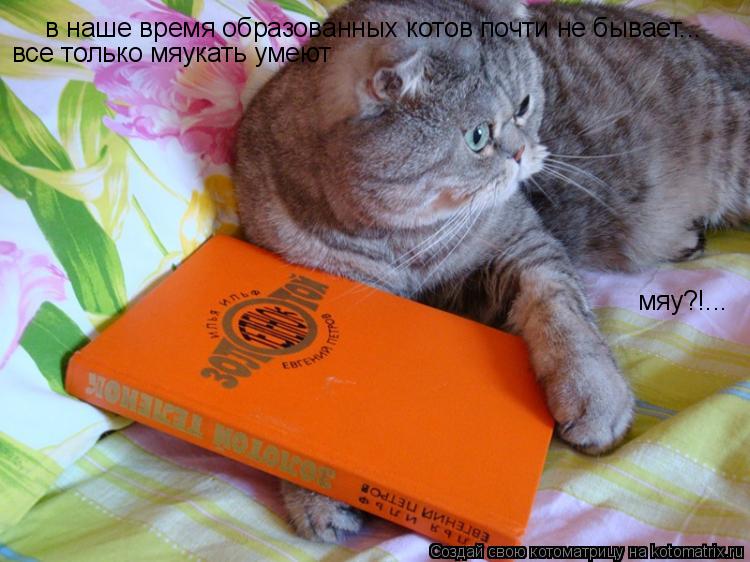 Котоматрица: в наше время образованных котов почти не бывает... все только мяукать умеют мяу?!...