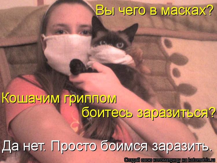 Вы чего в масках? Кошачим гриппом боитесь заразиться? Да нет. Просто боимся заразить.... Котоматрица: Вы чего в масках? Кошачим гриппом боитесь заразиться? Да нет. Просто боимся заразить.