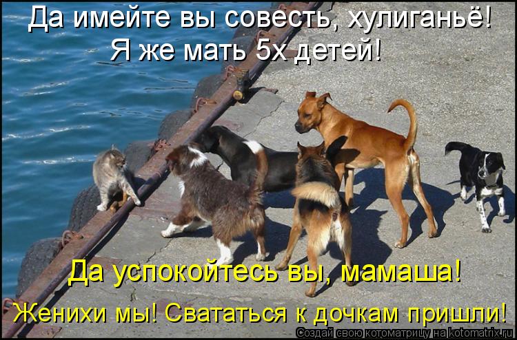 Да имейте вы совесть, хулиганьё! Я же мать 5х детей! Да успокойтесь вы, мамаша! Женихи мы! Свататьс... Котоматрица: Да имейте вы совесть, хулиганьё! Я же мать 5х детей! Да успокойтесь вы, мамаша! Женихи мы! Свататься к дочкам пришли!