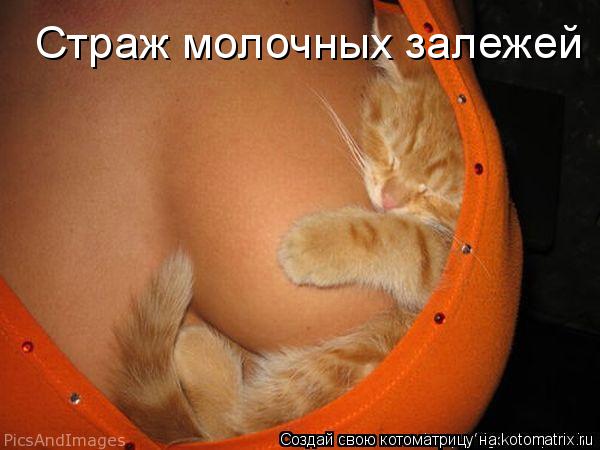 Страж молочных залежей... Котоматрица: Страж молочных залежей