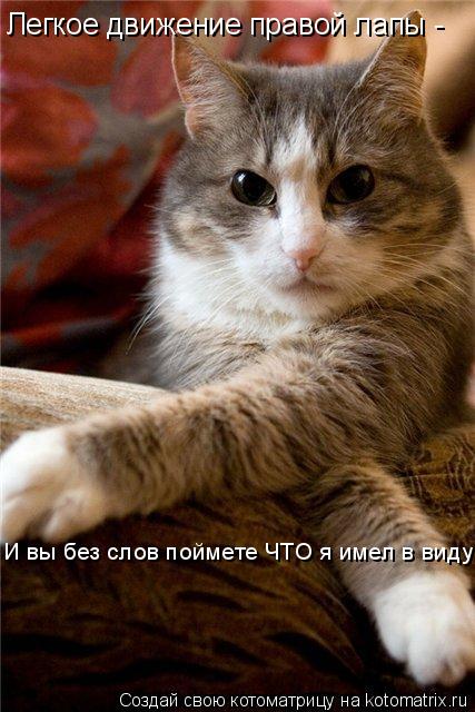 Легкое движение правой лапы - И вы без слов поймете ЧТО я имел в виду!... Котоматрица: Легкое движение правой лапы - И вы без слов поймете ЧТО я имел в виду!
