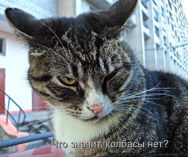 Что значит, колбасы нет?... Котоматрица: Что значит, колбасы нет?