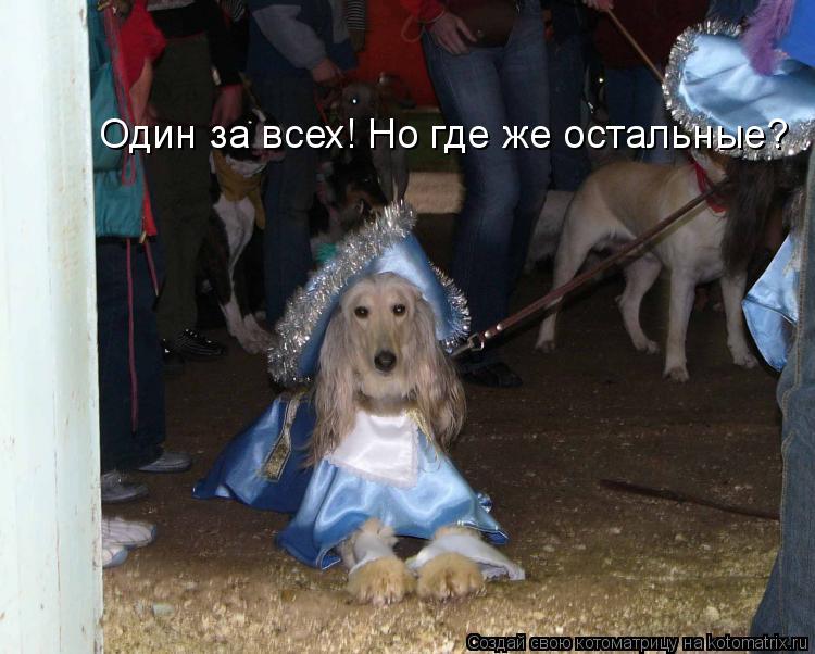 Один за всех! Но где же остальные?... Котоматрица: Один за всех! Но где же остальные?