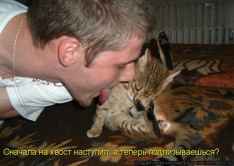 Сначала на хвост наступил, а теперь подлизываешься?... Котоматрица: Сначала на хвост наступил, а теперь подлизываешься?
