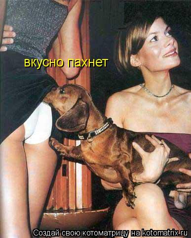 вкусно пахнет... Котоматрица: вкусно пахнет