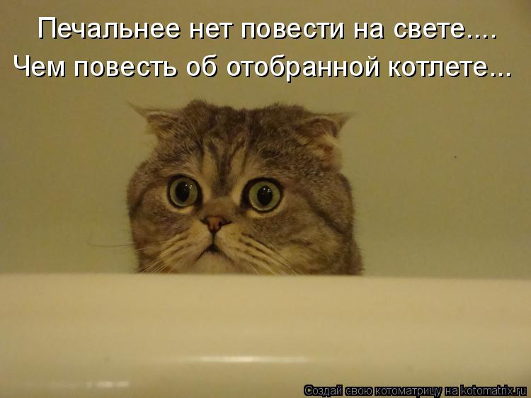 Котоматрица: Печальнее нет повести на свете.... Чем повесть об отобранной котлете...
