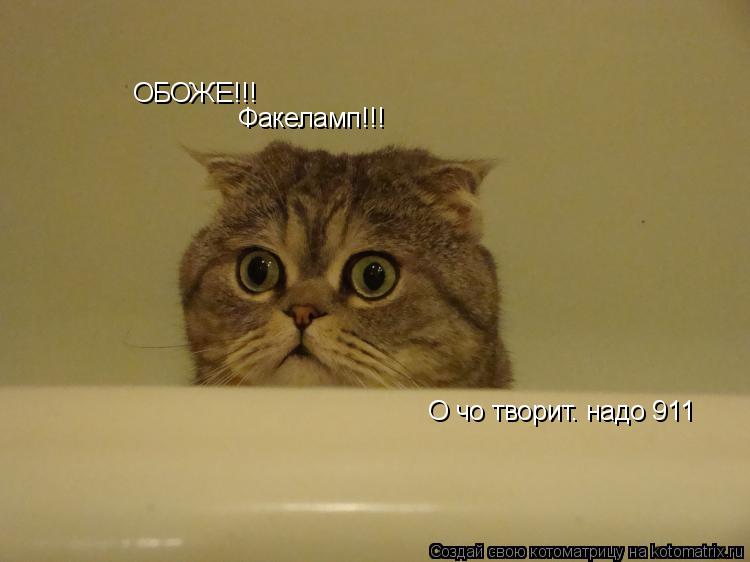 Котоматрица: ОБОЖЕ!!! Факеламп!!! О чо творит. надо 911