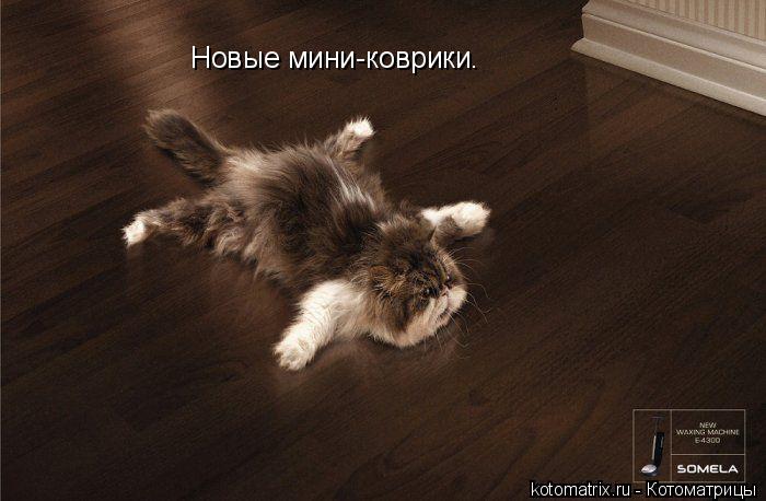 Котоматрица: Новые мини-коврики.