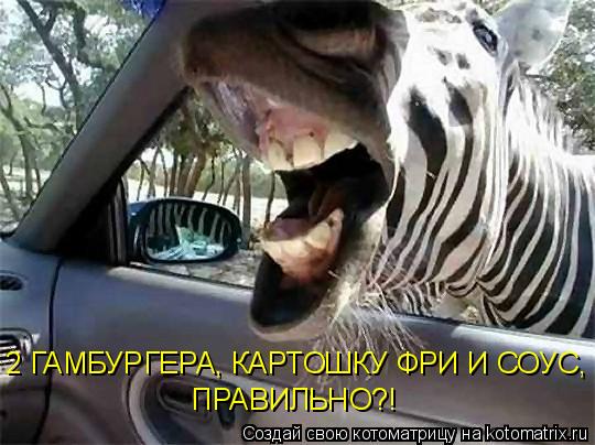 Котоматрица: 2 ГАМБУРГЕРА, КАРТОШКУ ФРИ И СОУС, ПРАВИЛЬНО?!