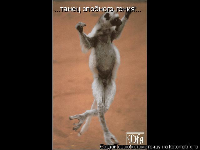 ...танец злобного гения...... Котоматрица: ...танец злобного гения...