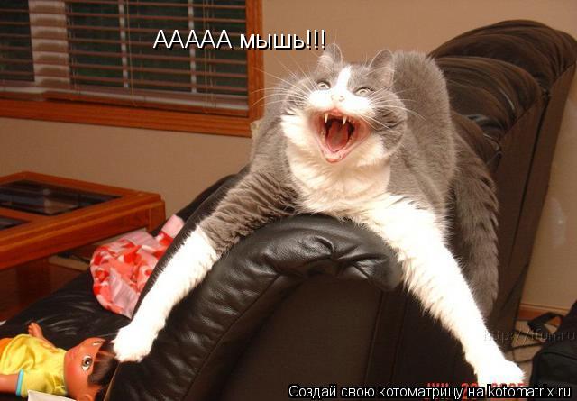 ААААА мышь!!!... Котоматрица: ААААА мышь!!!