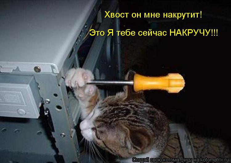 Котоматрица: Хвост он мне накрутит! Это Я тебе сейчас НАКРУЧУ!!!