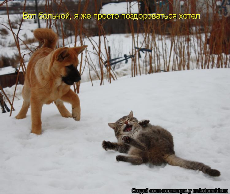 Вот больной, я же просто поздороваться хотел... Котоматрица: Вот больной, я же просто поздороваться хотел