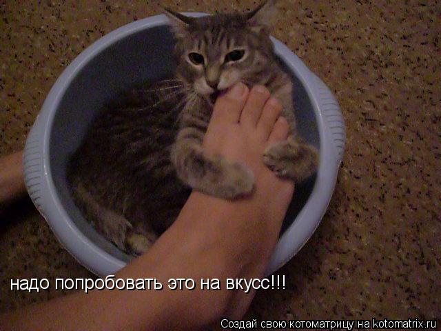 на до попробовать это на вкусс!!!... Котоматрица: на до попробовать это на вкусс!!!