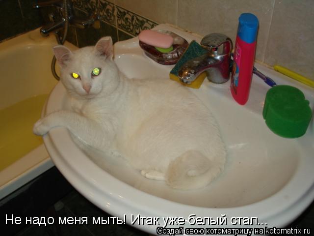 Не надо меня мыть! Итак уже белый стал...... Котоматрица: Не надо меня мыть! Итак уже белый стал...