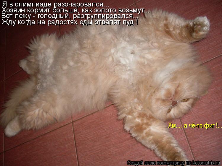 Я в олимпиаде разочаровался... Хозяин кормит больше, как золото возьмут... Вот лежу - голодный, разгр... Котоматрица: Я в олимпиаде разочаровался... Хозяин кормит больше, как золото возьмут... Вот лежу - голодный, разгруппировался... Жду когда на радостях еды о