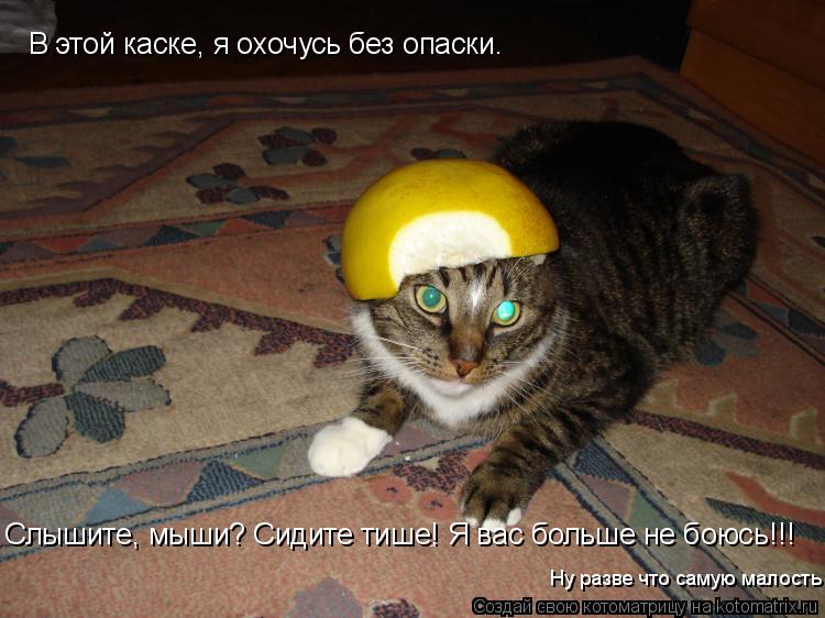 В этой каске, я охочусь без опаски. Слышите, мыши? Сидите тише! Я вас больше не боюсь!!! Ну разве что... Котоматрица: В этой каске, я охочусь без опаски. Слышите, мыши? Сидите тише! Я вас больше не боюсь!!! Ну разве что самую малость
