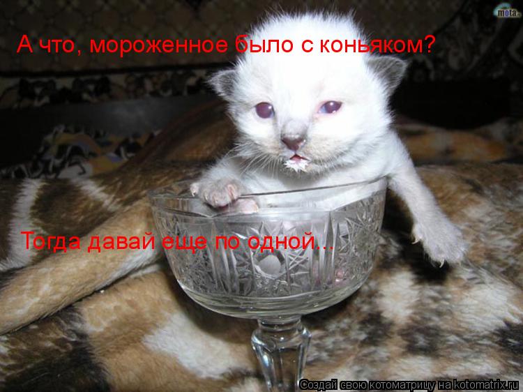 А что, мороженное было с коньяком? Тогда давай еще по одной...... Котоматрица: А что, мороженное было с коньяком? Тогда давай еще по одной...