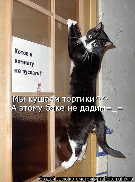 Мы кушаем тортики^^ А этому баке не дадим=_=... Котоматрица: Мы кушаем тортики^^ А этому баке не дадим=_=