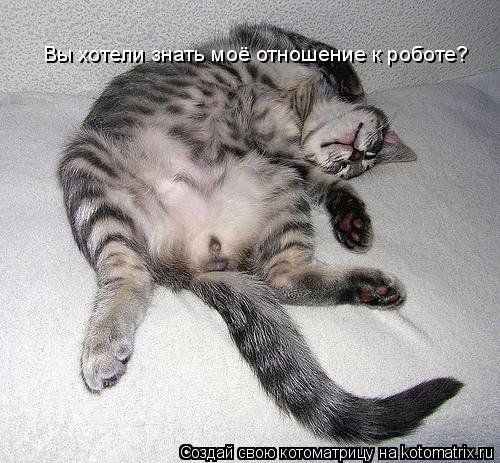 Вы хотели знать моё отношение к роботе?... Котоматрица: Вы хотели знать моё отношение к роботе?