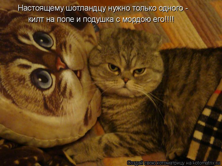 Настоящему шотландцу нужно только одного - килт на попе и подушка с мордою его!!!!... Котоматрица: Настоящему шотландцу нужно только одного - килт на попе и подушка с мордою его!!!!