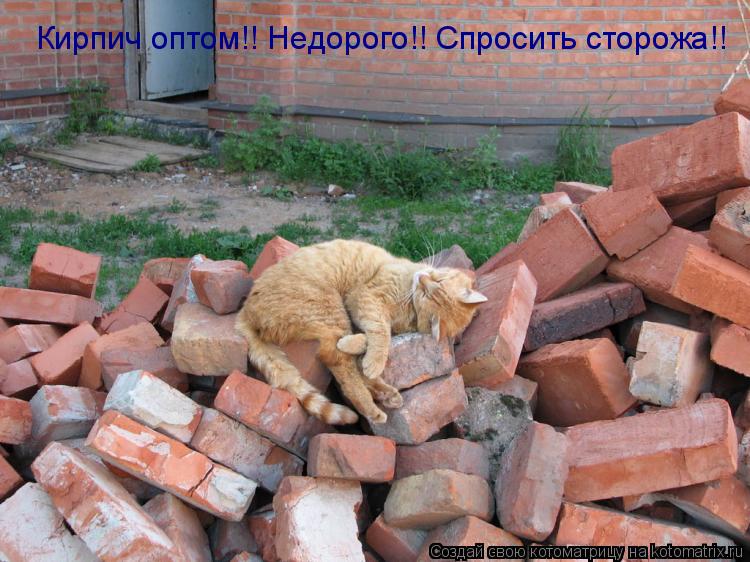 Кирпич оптом!! Недорого!! Спросить сторожа!!... Котоматрица: Кирпич оптом!! Недорого!! Спросить сторожа!!