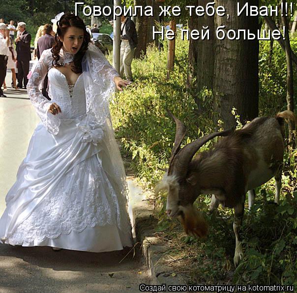 Говорила же тебе, Иван!!! Не пей больше!... Котоматрица: Говорила же тебе, Иван!!! Не пей больше!