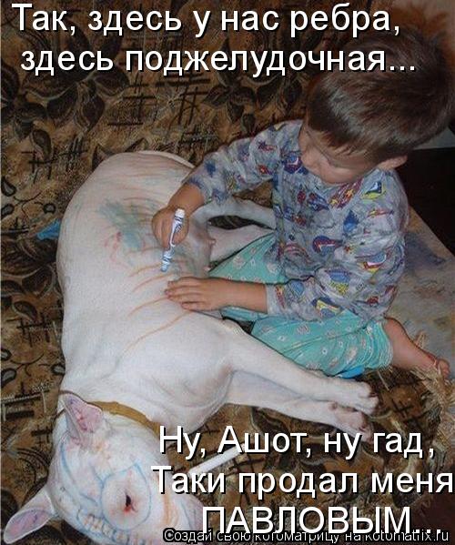 Так, здесь у нас ребра, здесь поджелудочная... Ну, Ашот, ну гад, Таки продал меня ПАВЛОВЫМ...... Котоматрица: Так, здесь у нас ребра, здесь поджелудочная... Ну, Ашот, ну гад, Таки продал меня ПАВЛОВЫМ...