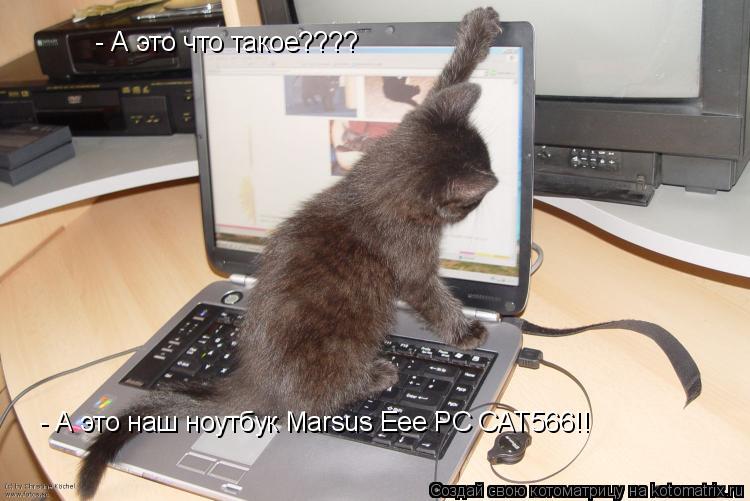 - А это что такое???? - А это наш ноутбук Marsus Eee PC CAT566!!... Котоматрица: - А это что такое???? - А это наш ноутбук Marsus Eee PC CAT566!!