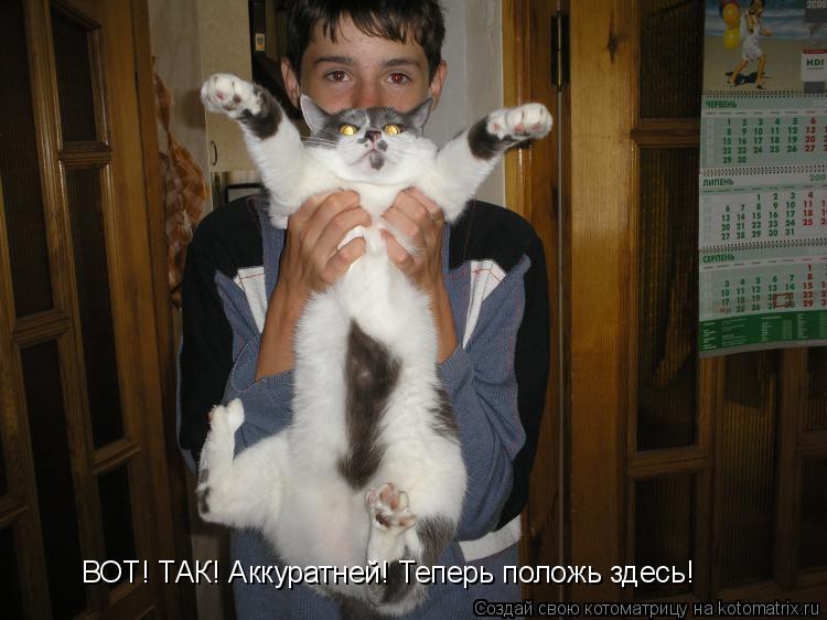 ВОТ! ТАК! Аккуратней! Теперь положь здесь!... Котоматрица: ВОТ! ТАК! Аккуратней! Теперь положь здесь!