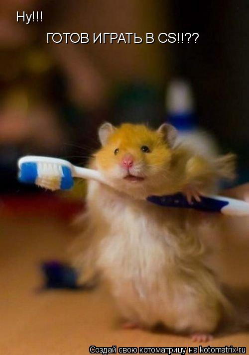 Ну!!! ГОТОВ ИГРАТЬ В CS!!??... Котоматрица: Ну!!! ГОТОВ ИГРАТЬ В CS!!??