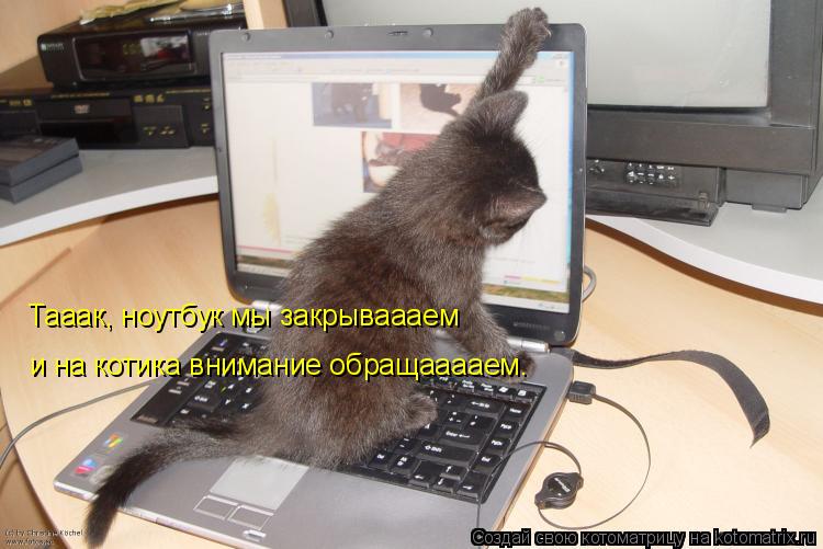 Тааак, ноутбук мы закрываааем и на котика внимание обращааааем.... Котоматрица: Тааак, ноутбук мы закрываааем и на котика внимание обращааааем.