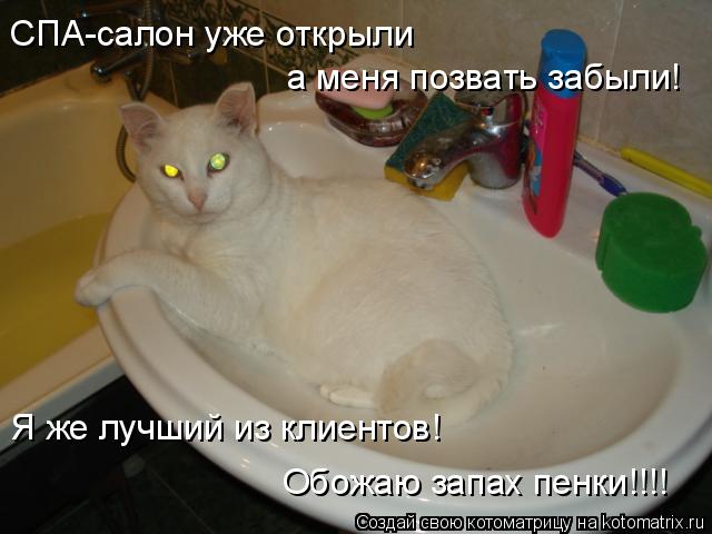 СПА-салон уже открыли а меня позвать забыли! Я же лучший из клиентов! Обожаю запах пенки!!!!... Котоматрица: СПА-салон уже открыли а меня позвать забыли! Я же лучший из клиентов! Обожаю запах пенки!!!!