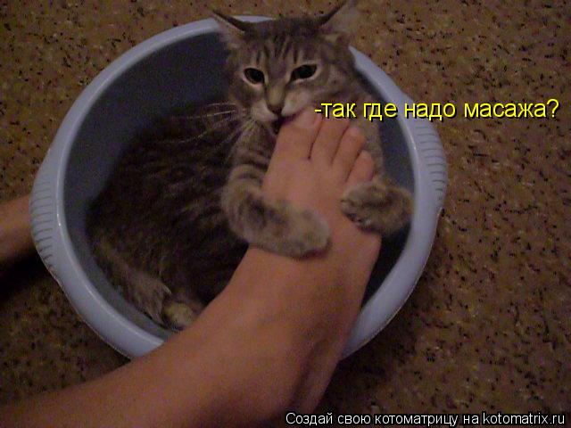 -так где надо масажа?... Котоматрица: -так где надо масажа?