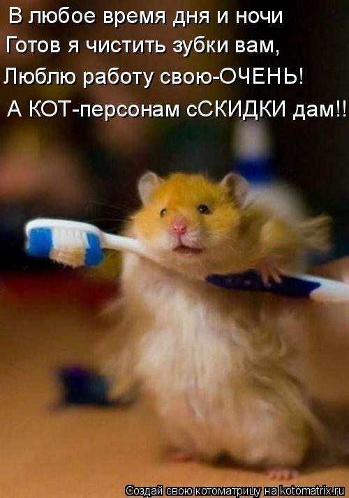 В любое время дня и ночи Готов я чистить зубки вам, Люблю работу свою-ОЧЕНЬ! А КОТ-персонам сСКИДКИ ... Котоматрица: В любое время дня и ночи Готов я чистить зубки вам, Люблю работу свою-ОЧЕНЬ! А КОТ-персонам сСКИДКИ дам!!