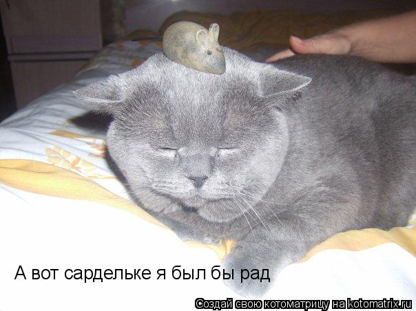 А вот сардельке я был бы рад... Котоматрица: А вот сардельке я был бы рад