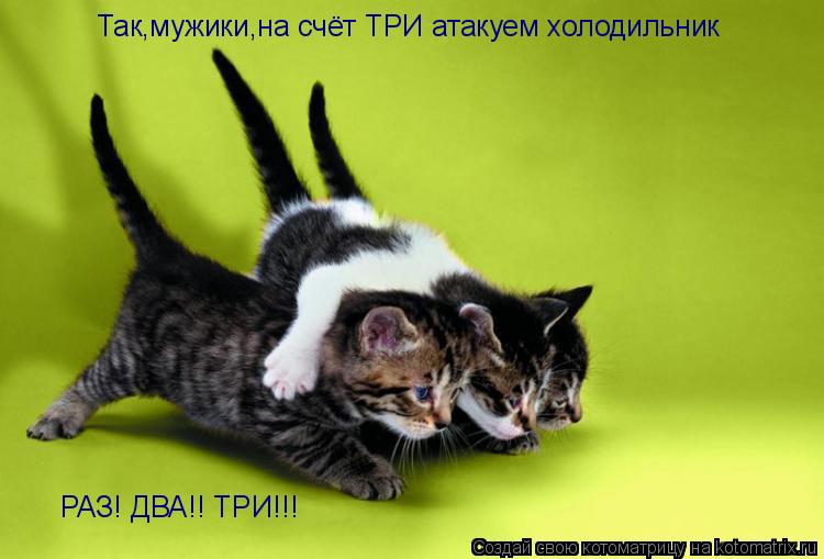 Так,мужики,на счёт ТРИ атакуем холодильник РАЗ! ДВА!! ТРИ!!!... Котоматрица: Так,мужики,на счёт ТРИ атакуем холодильник РАЗ! ДВА!! ТРИ!!!