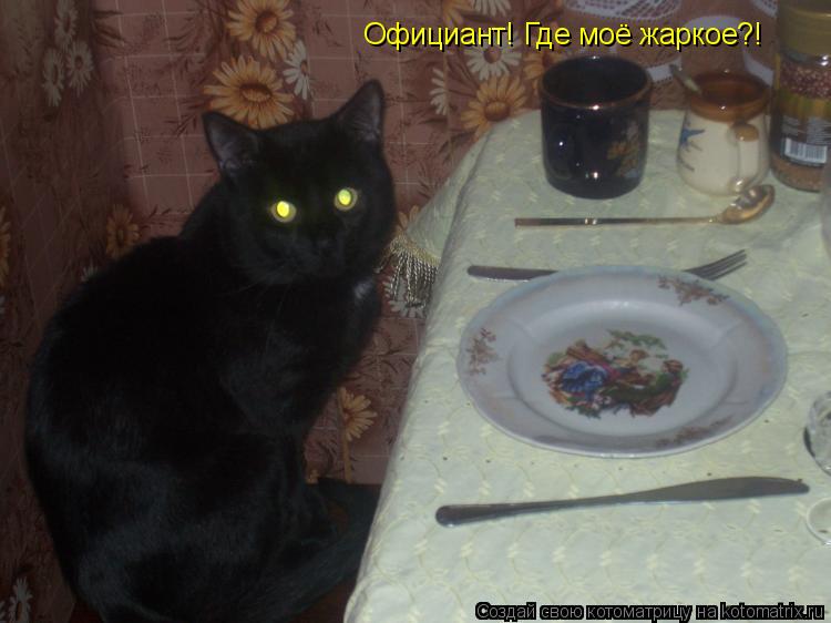 Официант! Где моё жаркое?!... Котоматрица: Официант! Где моё жаркое?!