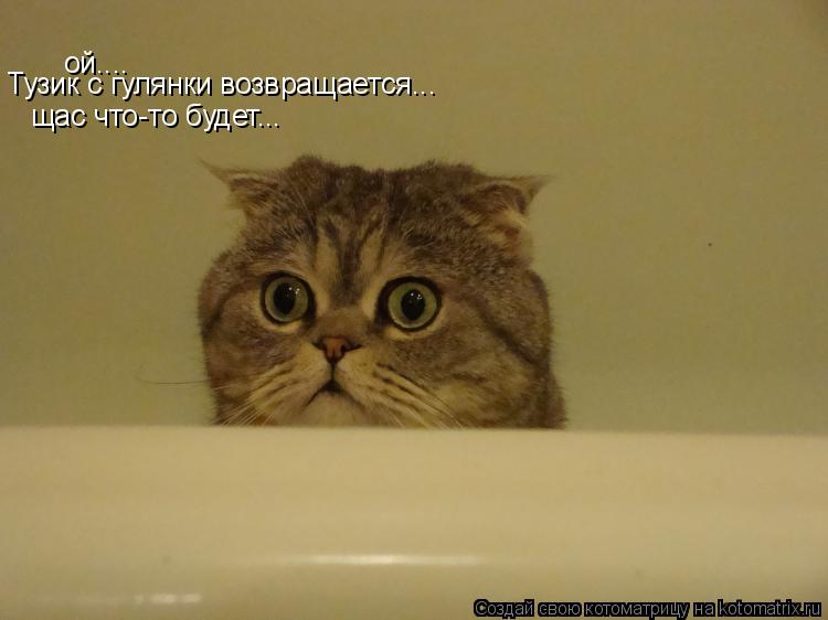 ой.... Тузик с гулянки возвращается... щас что-то будет...... Котоматрица: ой.... Тузик с гулянки возвращается... щас что-то будет...