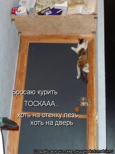 Бросаю курить ТОСКААА.. хоть на стенку лезь хоть на дверь... Котоматрица: Бросаю курить ТОСКААА.. хоть на стенку лезь хоть на дверь